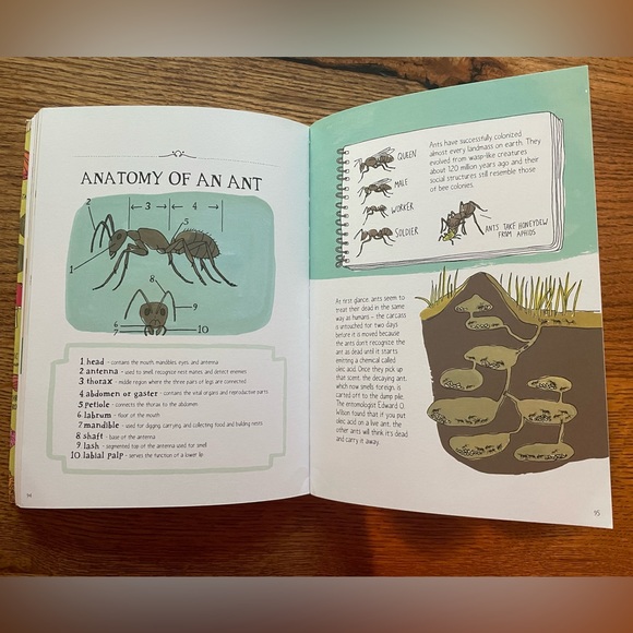 Nature Anatomy by Julia Rothman book. Excellent condition. - Picture 3 of 8